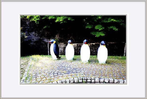 年05月 ナイルの夕べ ー季節の写真館ー