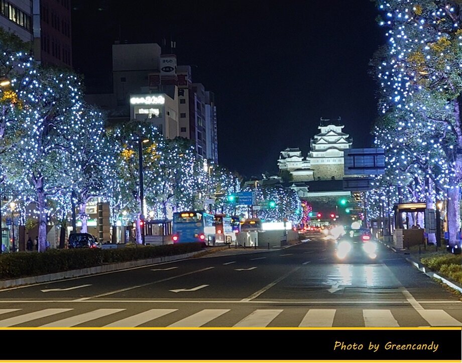 Himeji大手前通りイルミネーション-08