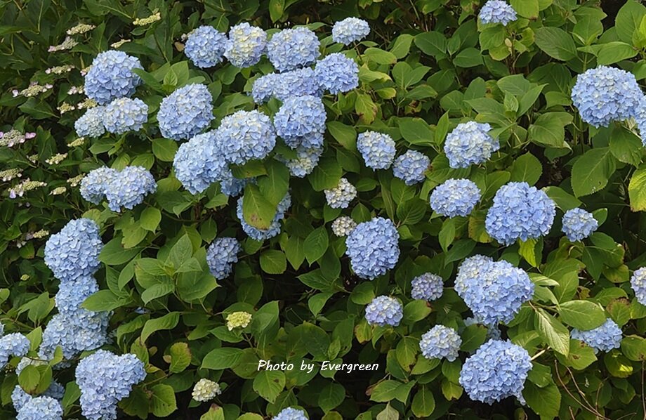 玉水ゆり圓-10