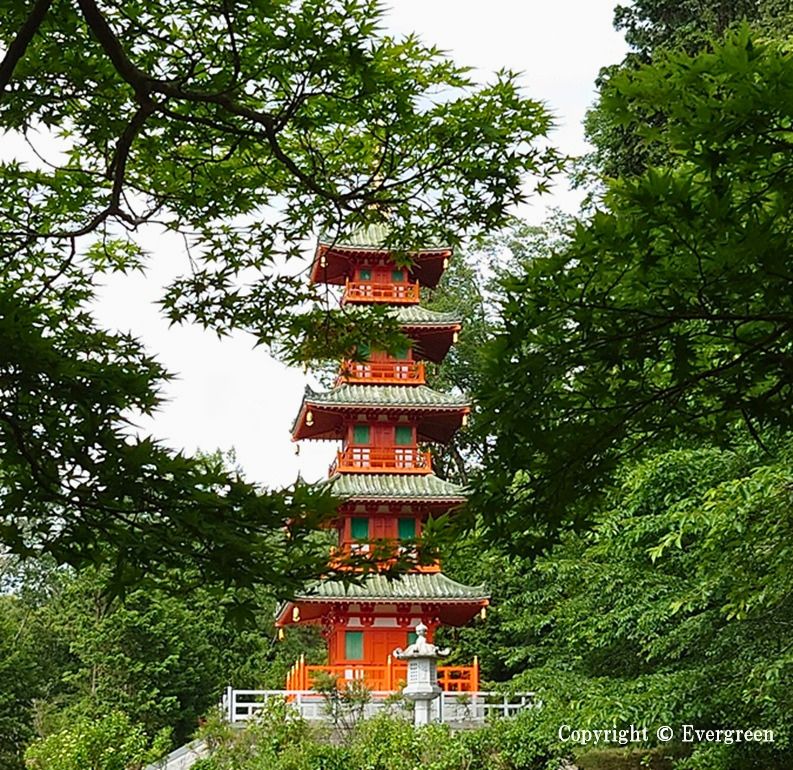 三木市金剛寺-22