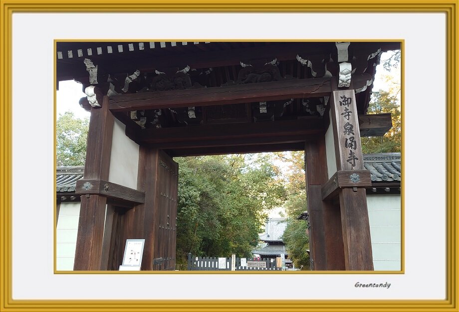 泉涌寺-10