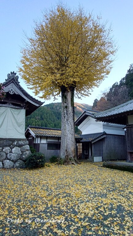 鯖街道 熊川宿-08