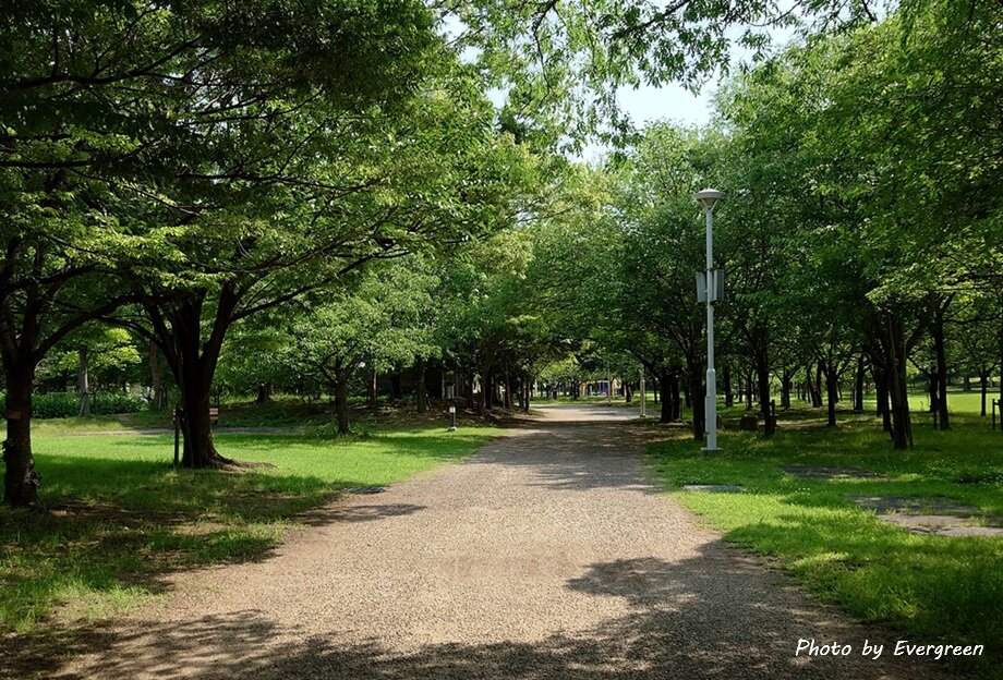 ミラタップパーク芦屋-08