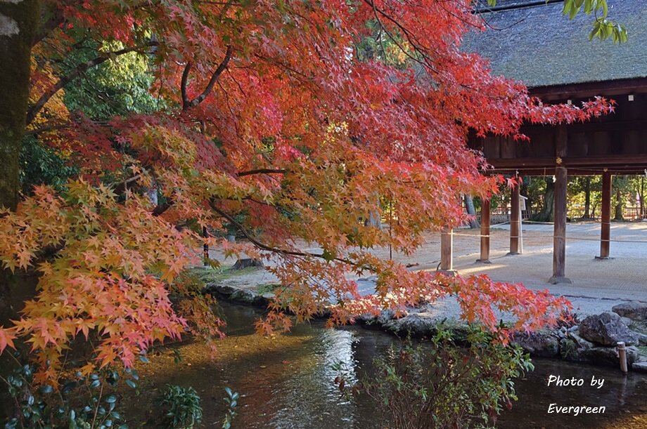 上賀茂神社の紅葉-06