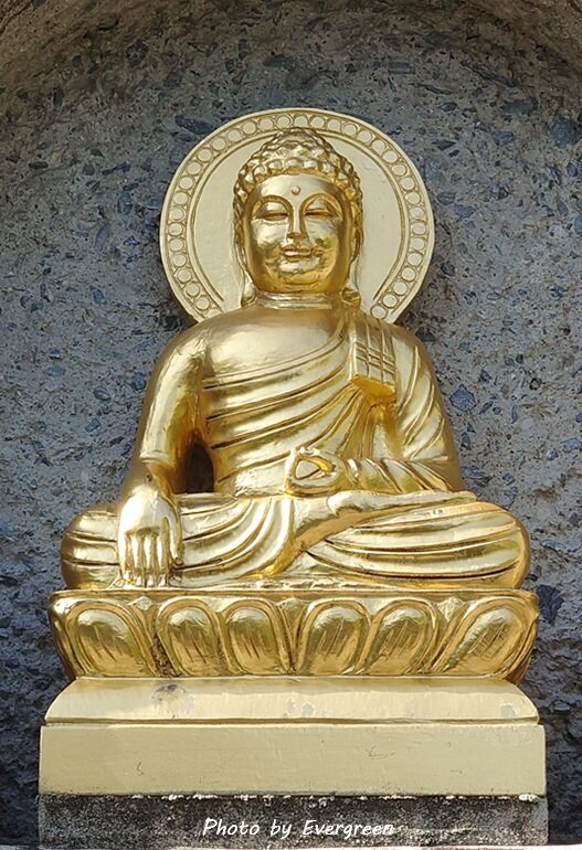 妙満寺の新緑-10