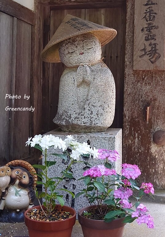 丹州華観音寺の紫陽花-22