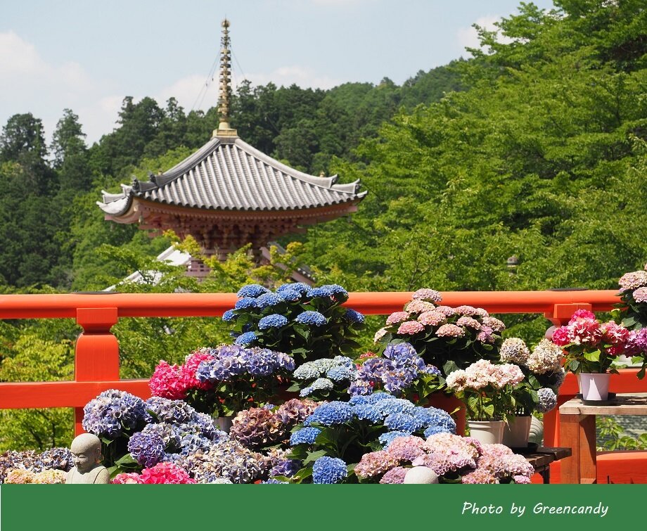 壷阪寺-39