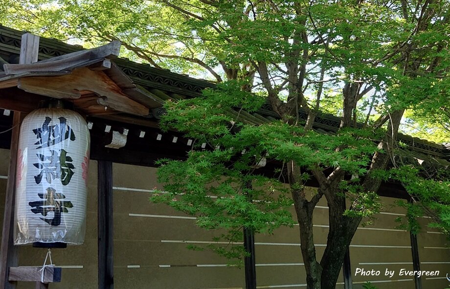 妙満寺の新緑-03