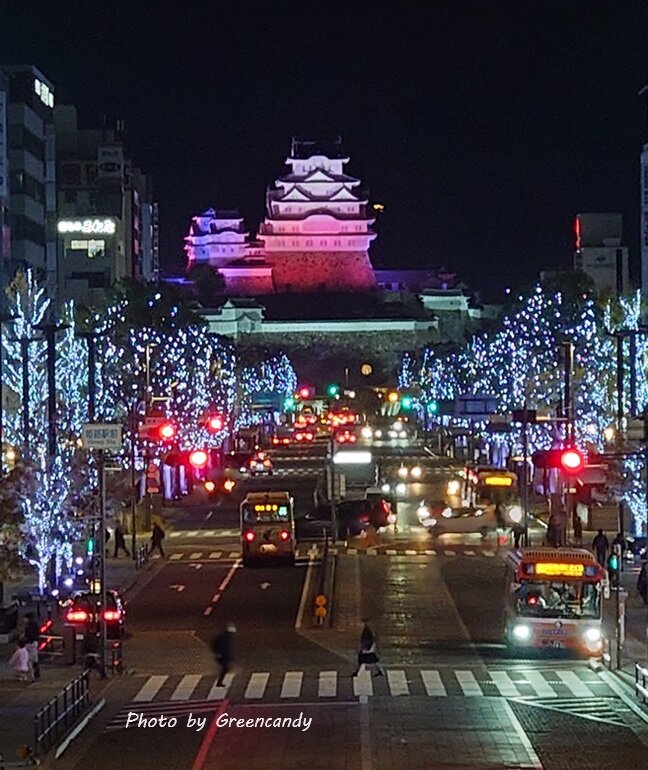 Himeji大手前通りイルミネーション-06