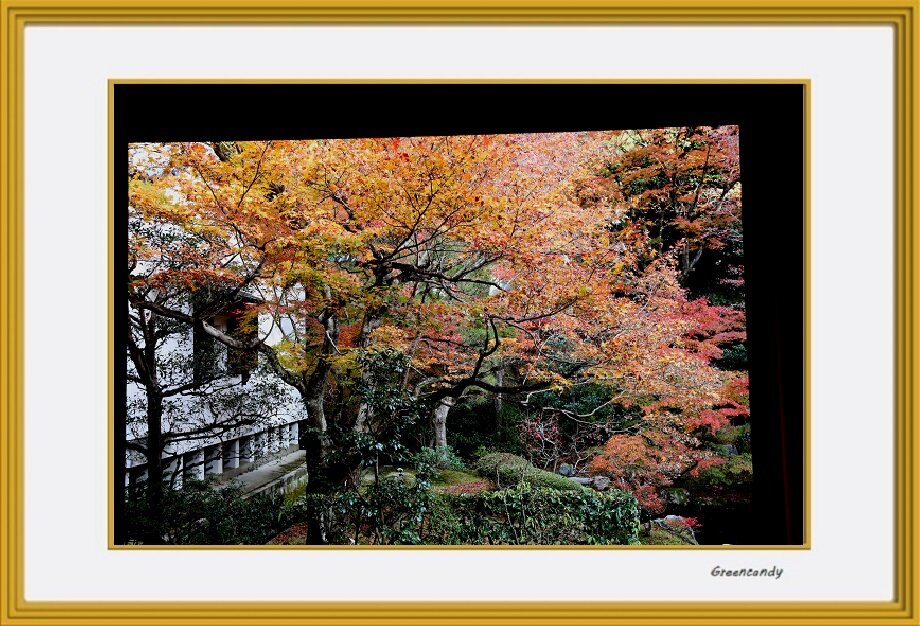 泉涌寺-11