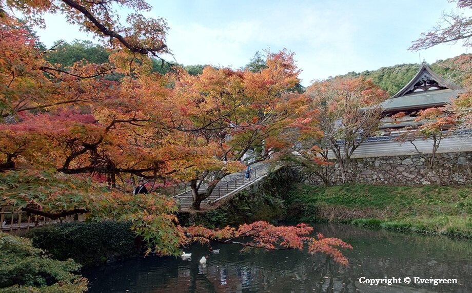 丹波円通寺-07