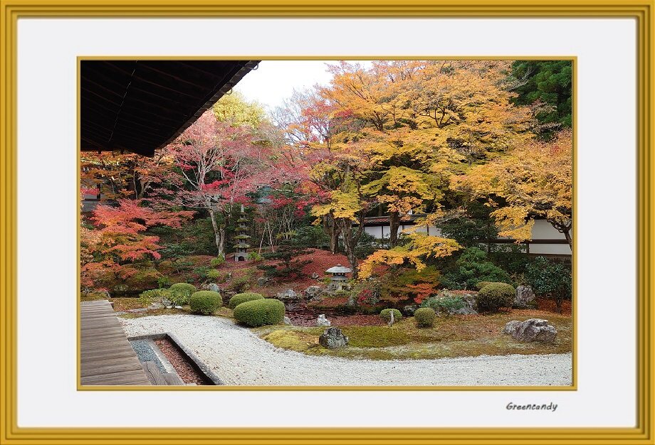 泉涌寺-01