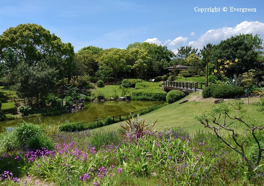 鳴尾浜海浜公園-10