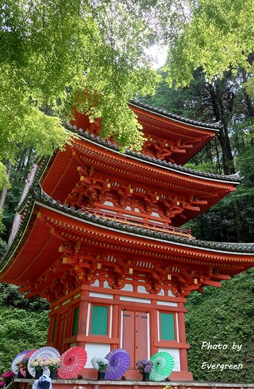 岩船寺のあじさい-04