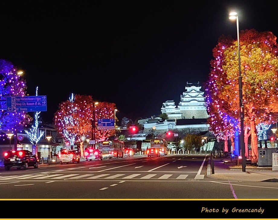 Himeji大手前通りイルミネーション-07