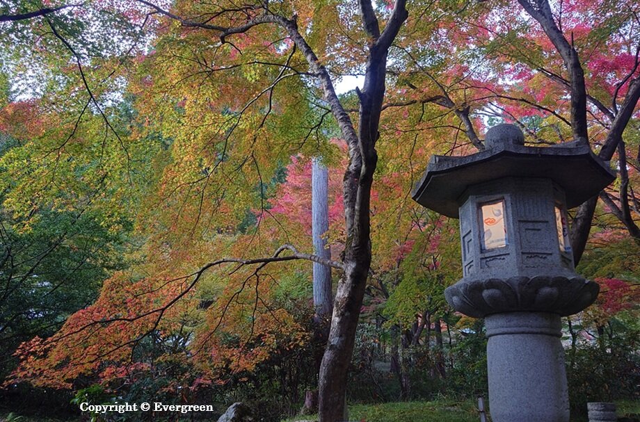丹波高山寺-04