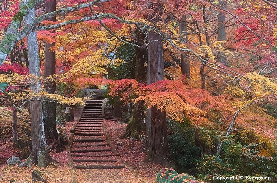 龍穏寺の紅葉-01