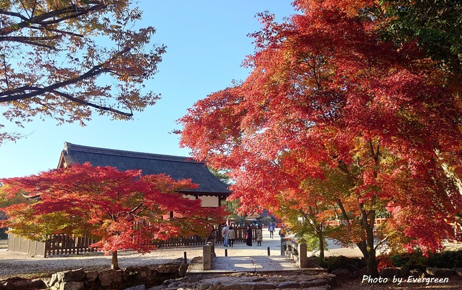 上賀茂神社の紅葉-08