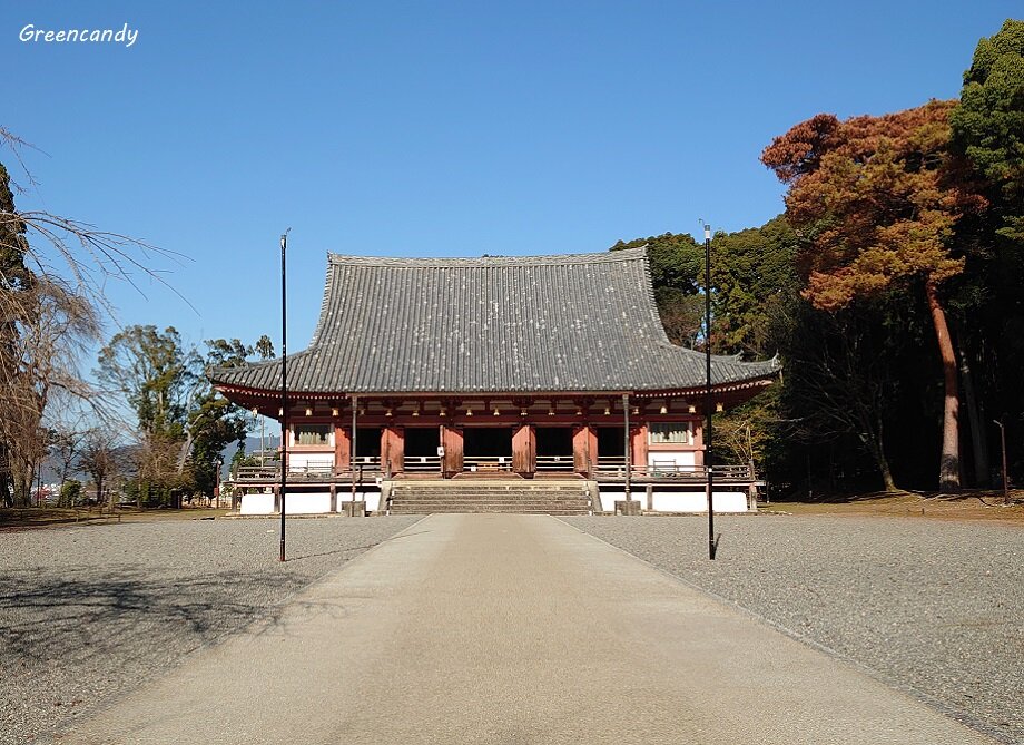 醍醐寺-17