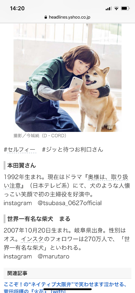 柴犬 まる Evermusic05のblog