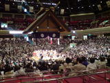 44b16b69.jpg
