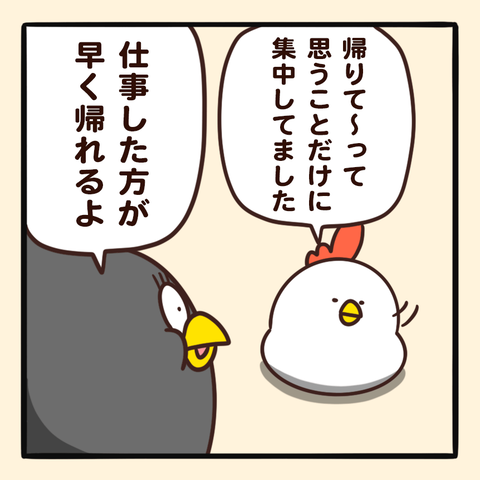 06-8