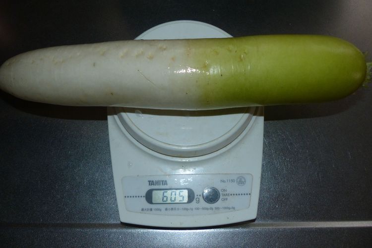 サラダビーツでダイコンのさくら漬け 毎日が日曜 晴耕雨読な日々