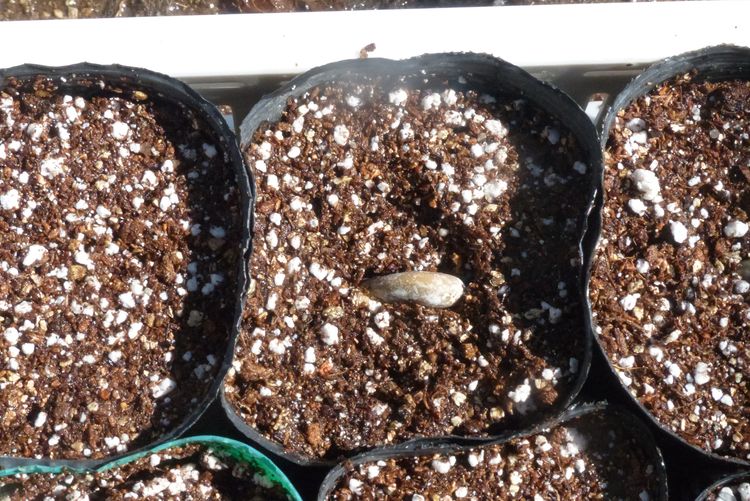 2z9cvxohjbs7km 2z9cvxohjbs7km