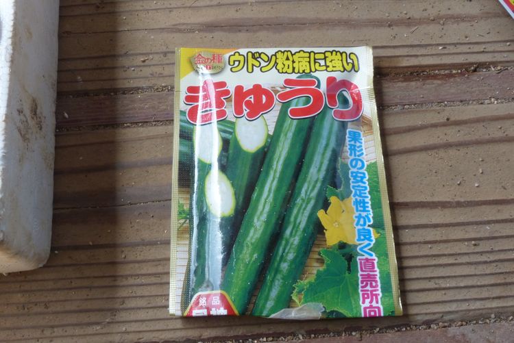 ウリ科野菜の播種から鉢上げ 毎日が日曜 晴耕雨読な日々
