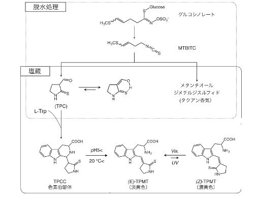 ダイコンにまつわる話 毎日が日曜 晴耕雨読な日々