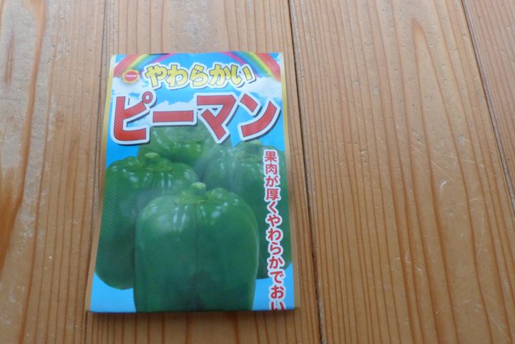 ピーマン追加播種 ナス発芽状況など 毎日が日曜 晴耕雨読な日々 ピーマン追加播種 ナス発芽状況など 毎日が日曜 晴耕雨読な日々