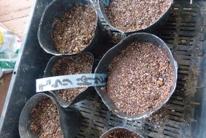 photo3-253