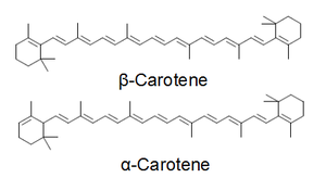 Fig6