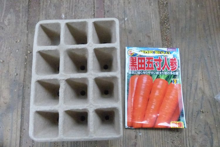 ニンジンの栽培 育苗栽培は可能か 毎日が日曜 晴耕雨読な日々