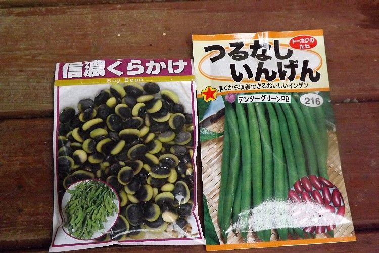 くらかけ豆およびつるなしインゲン播種 毎日が日曜 晴耕雨読な日々
