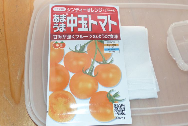 トマトの芽出し開始と栽培特性について 毎日が日曜 晴耕雨読な日々 トマトの芽出し開始と栽培特性について 毎日が日曜 晴耕雨読な日々