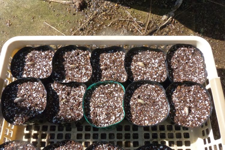 2z9cvxohjbs7km 2z9cvxohjbs7km