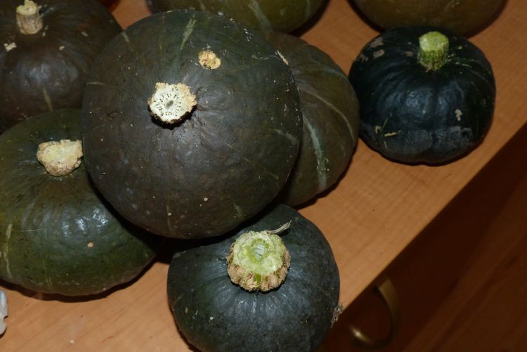 ナス ピーマン カボチャ栽培終了 ナスはイマイチ 毎日が日曜 晴耕雨読な日々