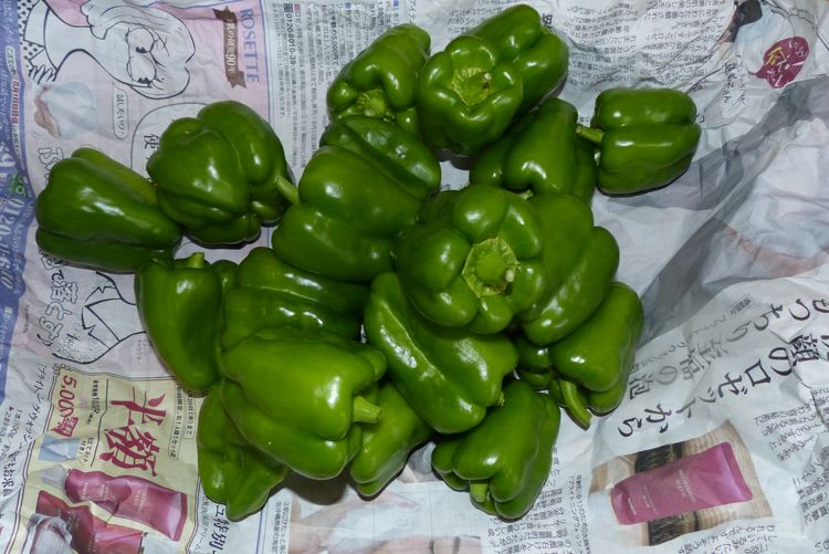 ピーマン パプリカも真夏仕様へ 毎日が日曜 晴耕雨読な日々 ピーマン パプリカも真夏仕様へ 毎日が日曜 晴耕雨読な日々