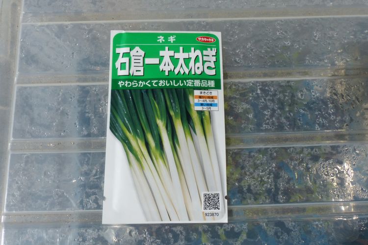 長ネギの栽培 毎日が日曜 晴耕雨読な日々 長ネギの栽培 毎日が日曜 晴耕雨読な日々