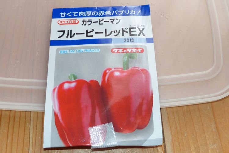 ピーマンの芽出しと栽培特性 毎日が日曜 晴耕雨読な日々 ピーマンの芽出しと栽培特性 毎日が日曜 晴耕雨読な日々