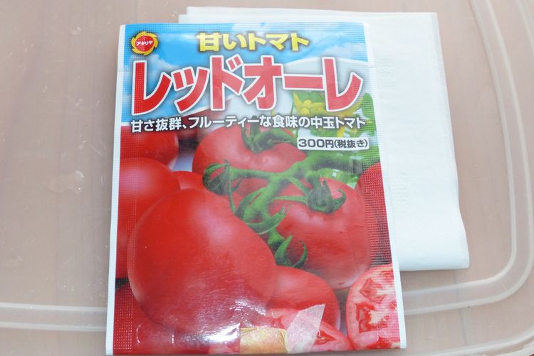 トマトの芽出し開始と栽培特性について 毎日が日曜 晴耕雨読な日々 トマトの芽出し開始と栽培特性について 毎日が日曜 晴耕雨読な日々