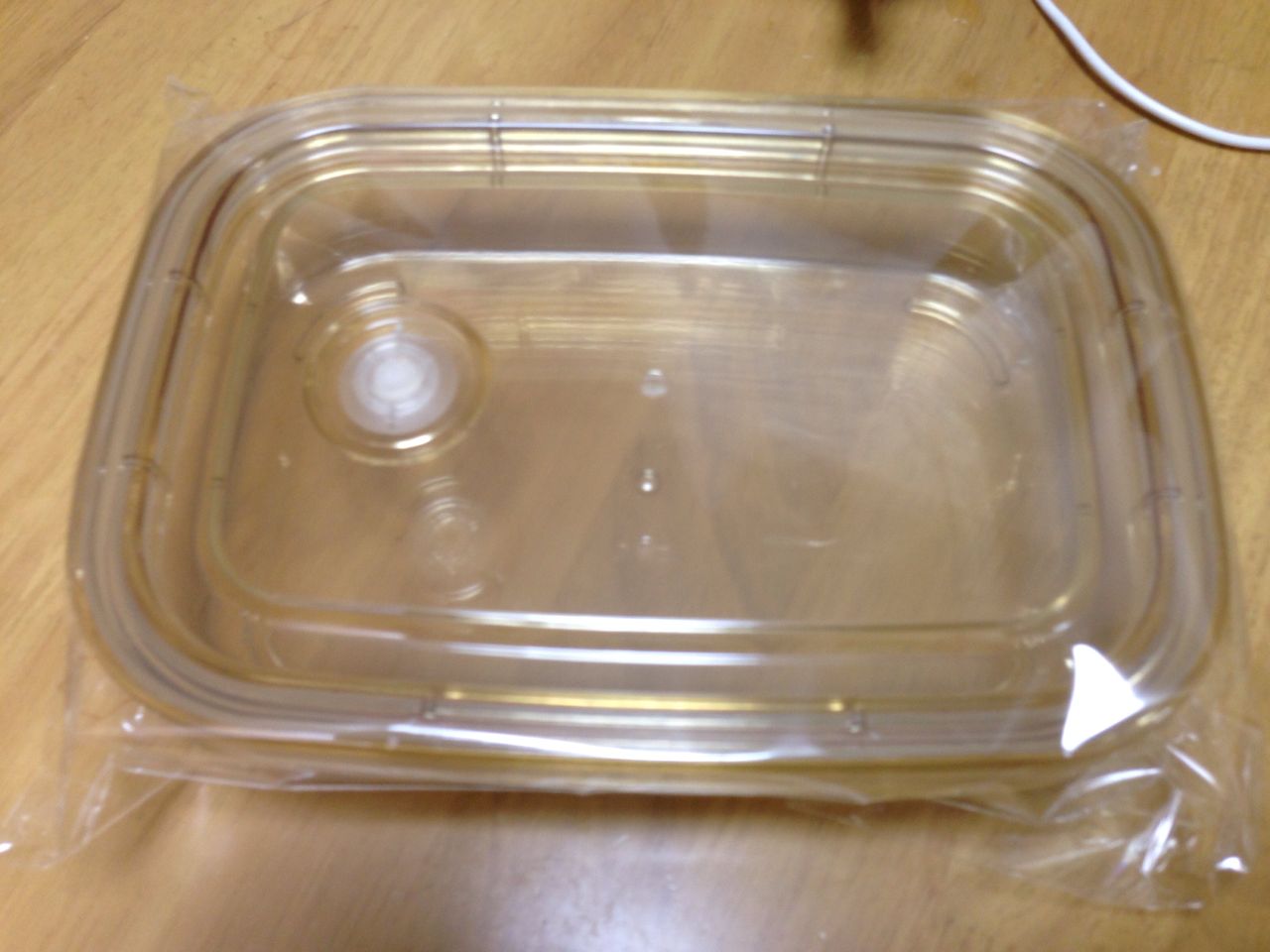 Vs真空容器でお弁当 サイズ選び 毎日がわくてか
