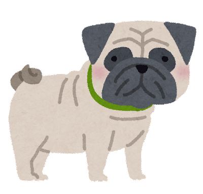 dog_pug