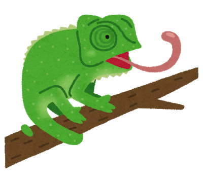 animal_chameleon