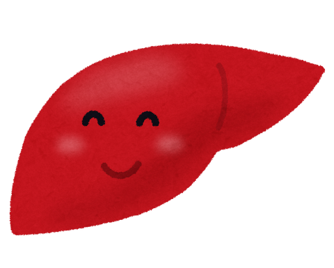 body_kanzou_good