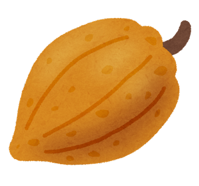 fruit_cacao_kakao