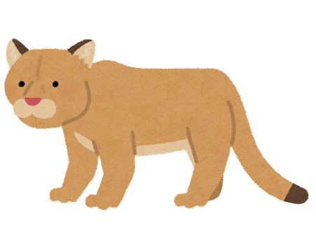 animal_puma