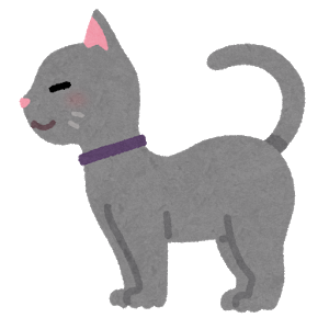 animal_cat_side