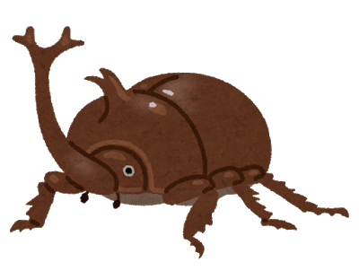 bug_kabutomushi_osu_brown